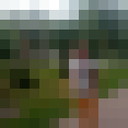 ���������� ����, ���� ������� ����, 34 ����, ������������ ��� ������, ����� � ���������, c�������� ���������