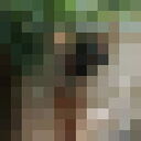 ���������� ����, ���� ������� Helga, 40 ���, ������������ ��� ������