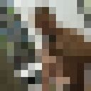 ���������� �����, ���� ����� ���������, 24 ����, ������������ ��� ������, ����� � ���������