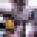 ���������� ������, ���� ����� ������, 23 ����, ������������ ��� ������, ����� � ���������, ���������