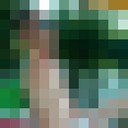 ,   , 31 ,     , c 