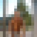  ,   , 34 ,   ,   , c , 