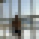 ���������� �����������, ���� ������� �����, 37 ���, ������������ ��� ����� � ���������, c�������� ���������