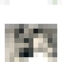 ���������� ������, ���� ������� ���, 41 ���, ������������ ��� ������, ����� � ���������