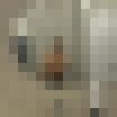 ���������� ������, ���� ����� ����, 23 ����, ������������ ��� ������, ����� � ���������