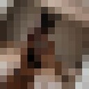 ���������� �����-���������, ���� ������� ������, 23 ����, ������������ ��� ������, ����� � ���������