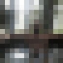  ,   Patrik, 34 ,   ,   