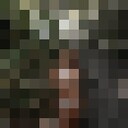 ���������� �����-���������, ���� ������� �����, 23 ����, ������������ ��� ������, ����� � ���������