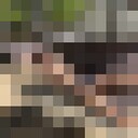  ,   , 54 ,   