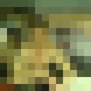  -,   , 54 ,     , c 