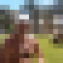  -,   , 65 ,   ,   