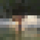  ,   , 39 ,     , c 