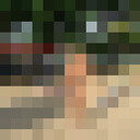  ,   , 57 ,   c , 
