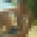  ,   HENO, 36 ,   ,   , c , 