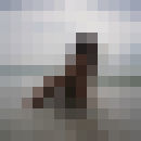  ,   , 49 ,   ,   , c , 