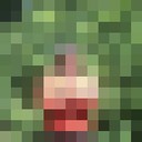 ���������� ��������������, ���� ������� ��������, 44 ����, ������������ ��� ���������