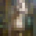  ,   , 61 ,   ,   , c , 