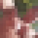 ���������� �����������, ���� ������� ��������, 35 ���, ������������ ��� ������, ����� � ���������, ���������