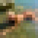 ���������� ���������, ���� ������� ����, 28 ���, ������������ ��� ������, ����� � ���������