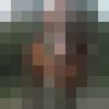  ,   Samir, 41 ,   