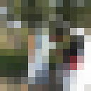  ,   998911080098, 39 ,   