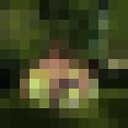 ���������� ������, ���� ������� Ruslan, 30 ���, ������������ ��� ������, ����� � ���������, c�������� ���������