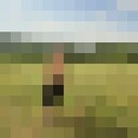 ,   , 38 ,   , c , 