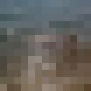  ,   Alex, 51 ,   