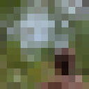  -,   , 23 ,   ,   