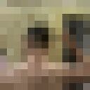 ���������� ���������, ���� ������� ����, 36 ���, ������������ ��� ������, ����� � ���������