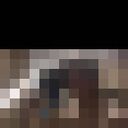 ���������� ������������, ���� ������� ������, 26 ���, ������������ ��� ������, ����� � ���������