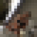 ���������� ������, ���� ������� ����, 22 ����, ������������ ��� ������, ����� � ���������