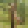  ,   Elena, 41 ,   ,   , c 