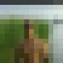 ���������� ������, ���� ������� �������, 32 ����, ������������ ��� ������, ����� � ���������