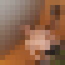  -,   , 48 ,   ,   