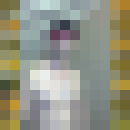  ,   Karomat, 45 ,   