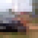   ,   , 51 ,   ,   , c , 