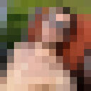  ,   , 35 ,   