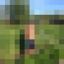 ���������� ��������, ���� ������� �������, 57 ���, ������������ ��� ������, ����� � ���������