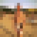 ���������� ������, ���� ������� �������, 35 ���, ������������ ��� ������