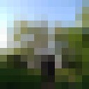 ���������� ���������, ���� ������� ������, 39 ���, ������������ ��� ������, ����� � ���������, c�������� ���������