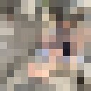  ,   , 29 ,   ,   , c , 