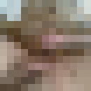  ,   Mishka, 41 ,   ,   , c 