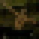 ���������� �������������-����������, ���� ������� ����, 38 ���, ������������ ��� ������, ����� � ���������