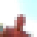  ,   , 48 ,   c 