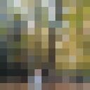  ,   , 60 ,   ,   , c 