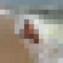  ,   , 50 ,  