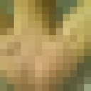  -,   , 44 ,   , 