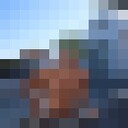  ,   Shoxrux, 26 ,   ,   