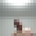 ���������� ������, ���� ������� ������, 36 ���, ������������ ��� ������, ����� � ���������